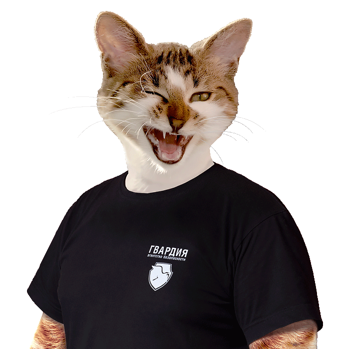 Слава Гвардейцев фото