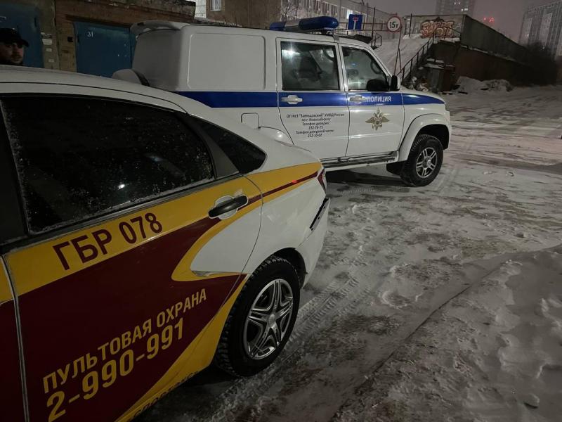 В помощь полиции картинка