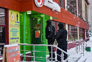 Задержана дюжина воришек